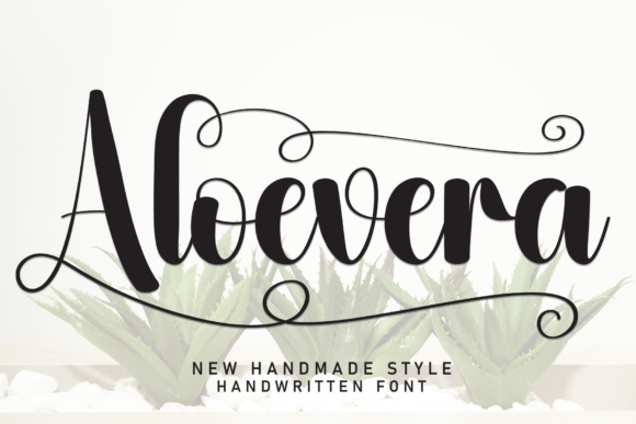 Aloevera Font: A Natural Script for Branding Projects
