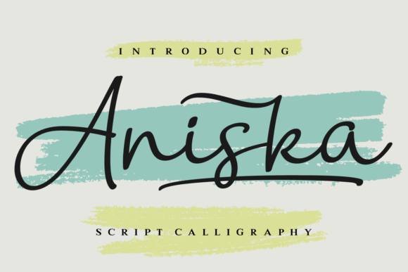 Aniska: A Calligraphic Typeface for Modern Marketing