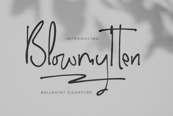 Blowmytten: An Elegant Script Font for Your Brand Story